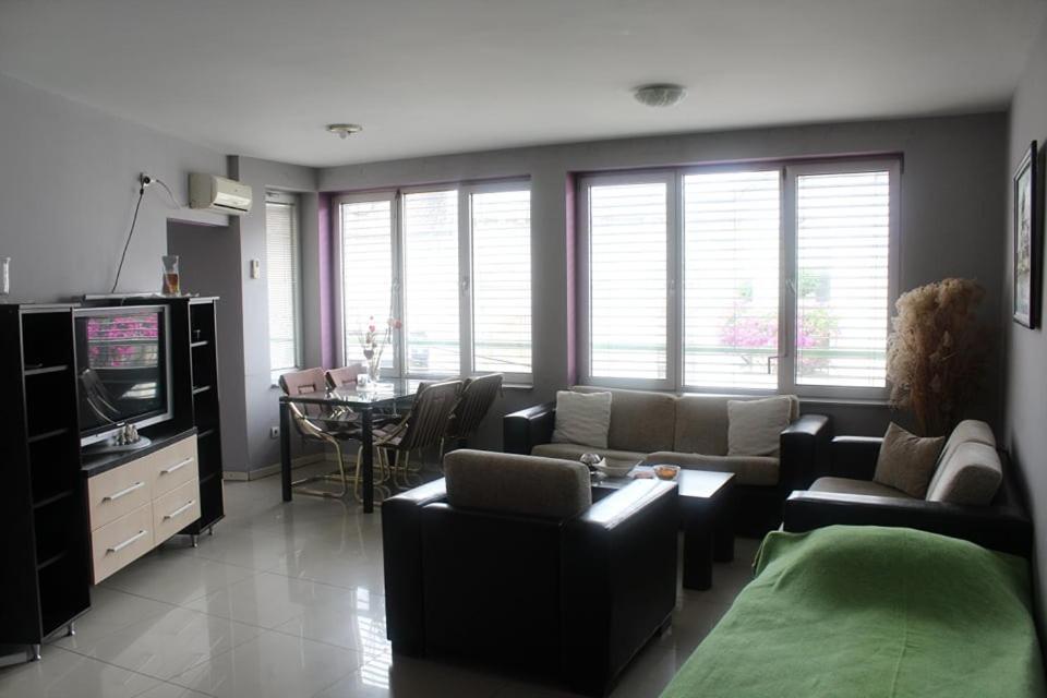 Apartman Natasa 1 Versec Kültér fotó