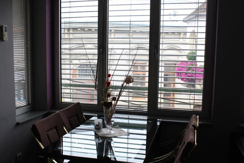 Apartman Natasa 1 Versec Kültér fotó
